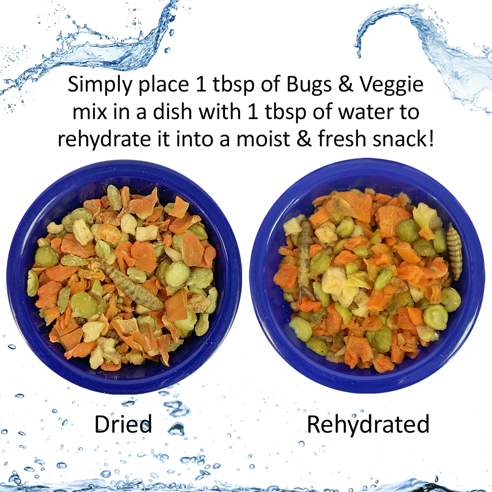 Hedgie Bugs y Veggie Treat de Exotic Nutrition favorece el ejercicio dental del erizo