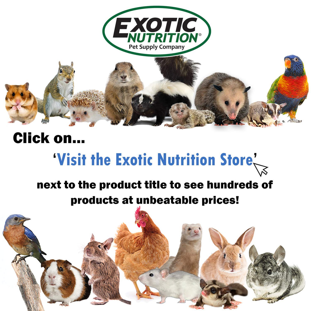 Omega Yums Exotic Nutrition, porción de 2 oz, snack natural para varias especies.