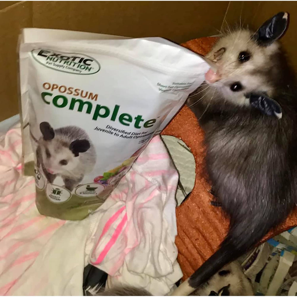 Exotic Nutrition Opossum Complete – ingrédients naturels et protéines animales de qualité.
