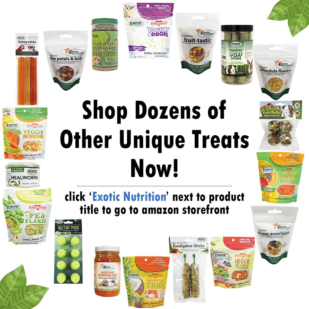 Exotic Nutrition palitos de eucalipto con textura crujiente para masticar