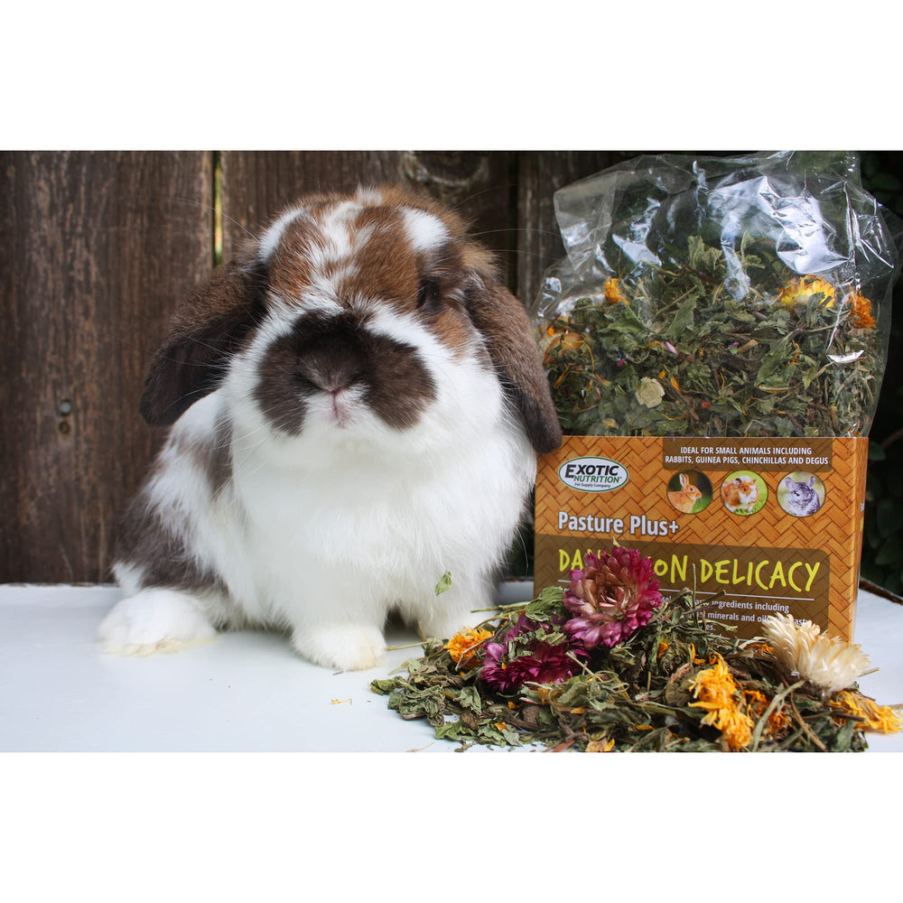 Pasture Plus+ Dandelion Delicacy, fuente de calcio en una golosina herbívora