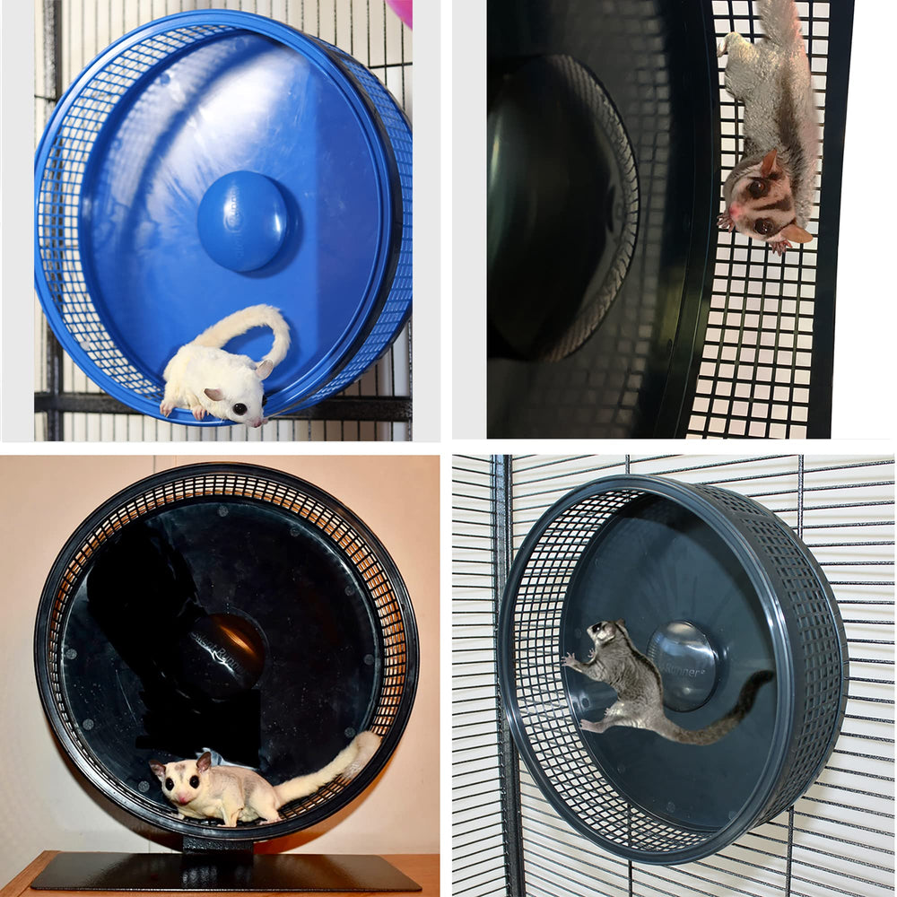 Rueda azul de Exotic Nutrition con soporte para uso seguro y entretenimiento diario