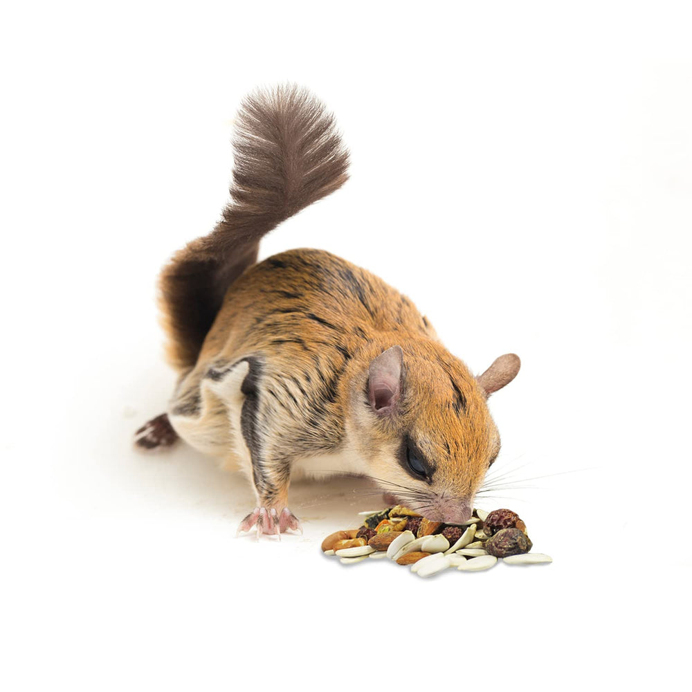 Frescura garantizada gracias a lotes pequeños de Squirrel Complete.