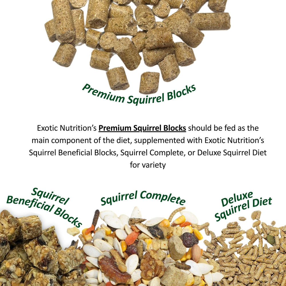 Mezcla de frutas y semillas de Squirrel Complete para sabor natural.