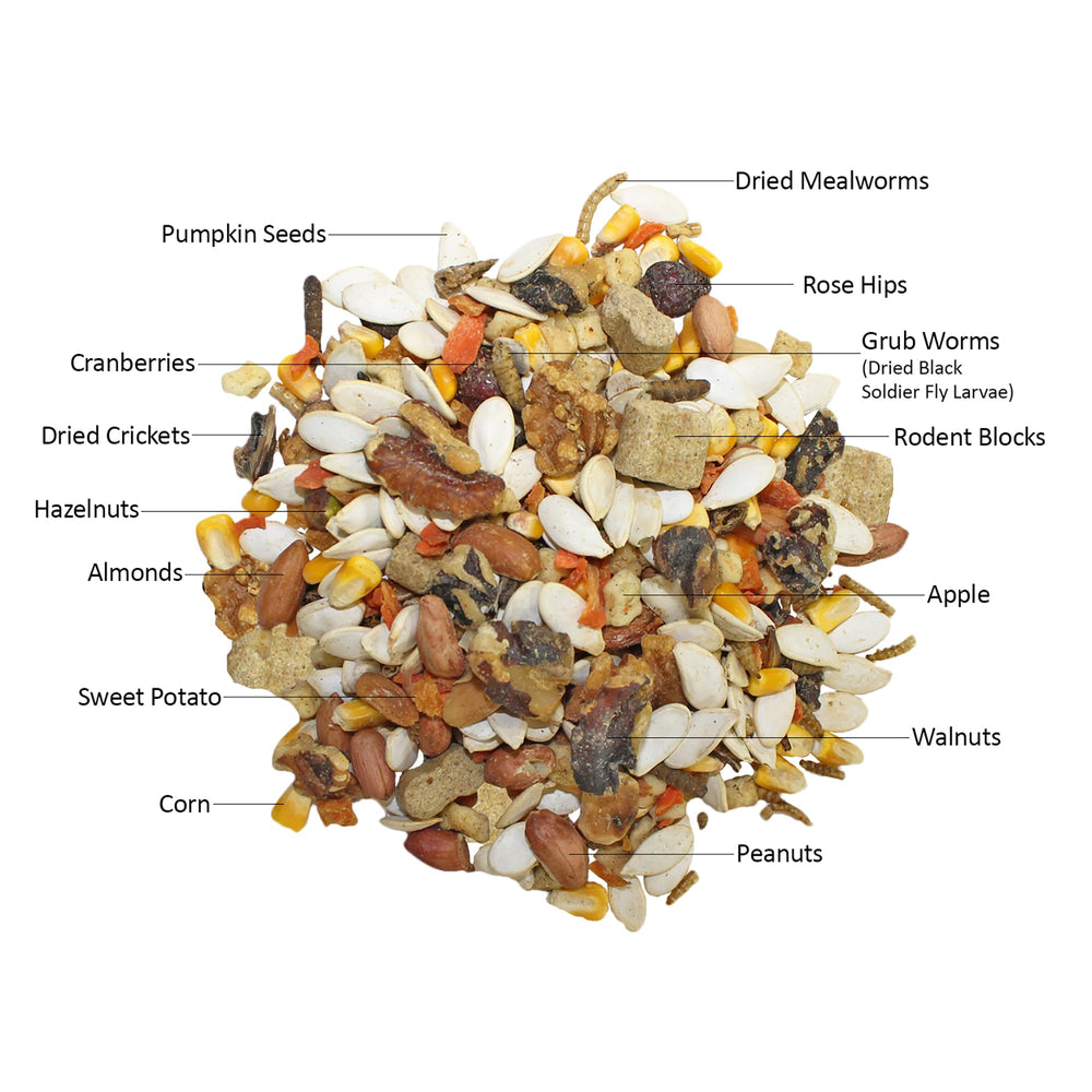 Exotic Nutrition tratitos naturales para ardillas, snack saludable
