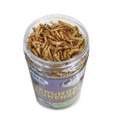 Exotic Nutrition Mealworm Munchies, textura seca crujiente que conserva el valor nutricional.
