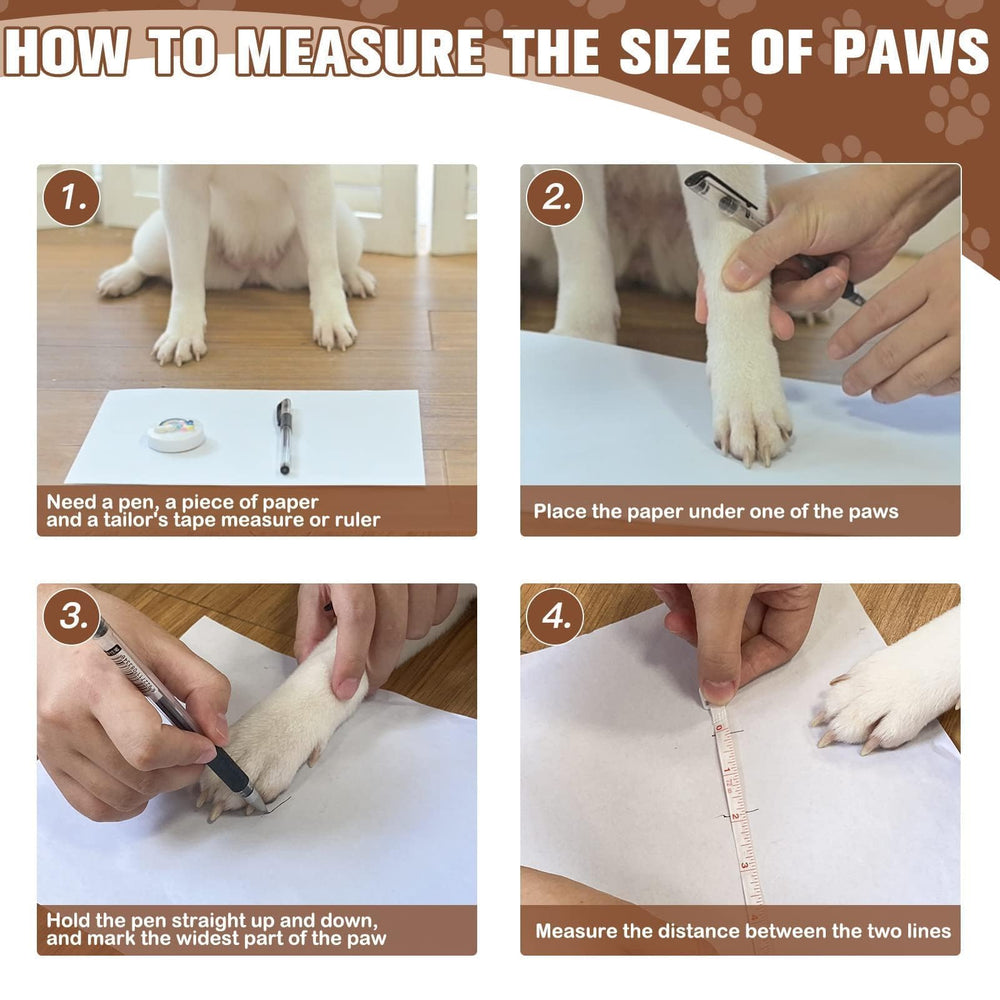 EXPAWLORER conjunto de seis calcetines para protección de patas
