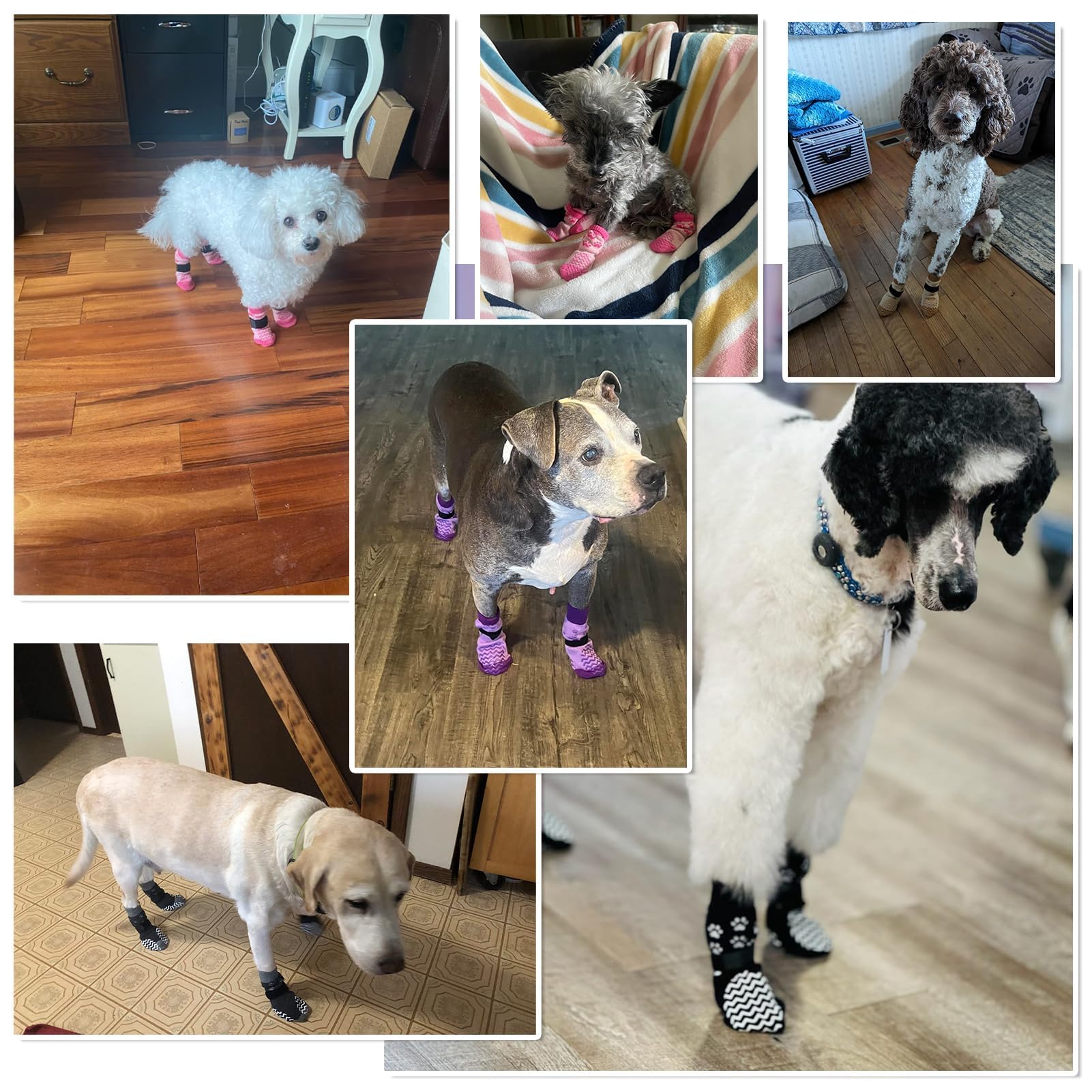 EXPAWLORER pack 6 calcetines con agarres antideslizantes para evitar resbalones en casa.