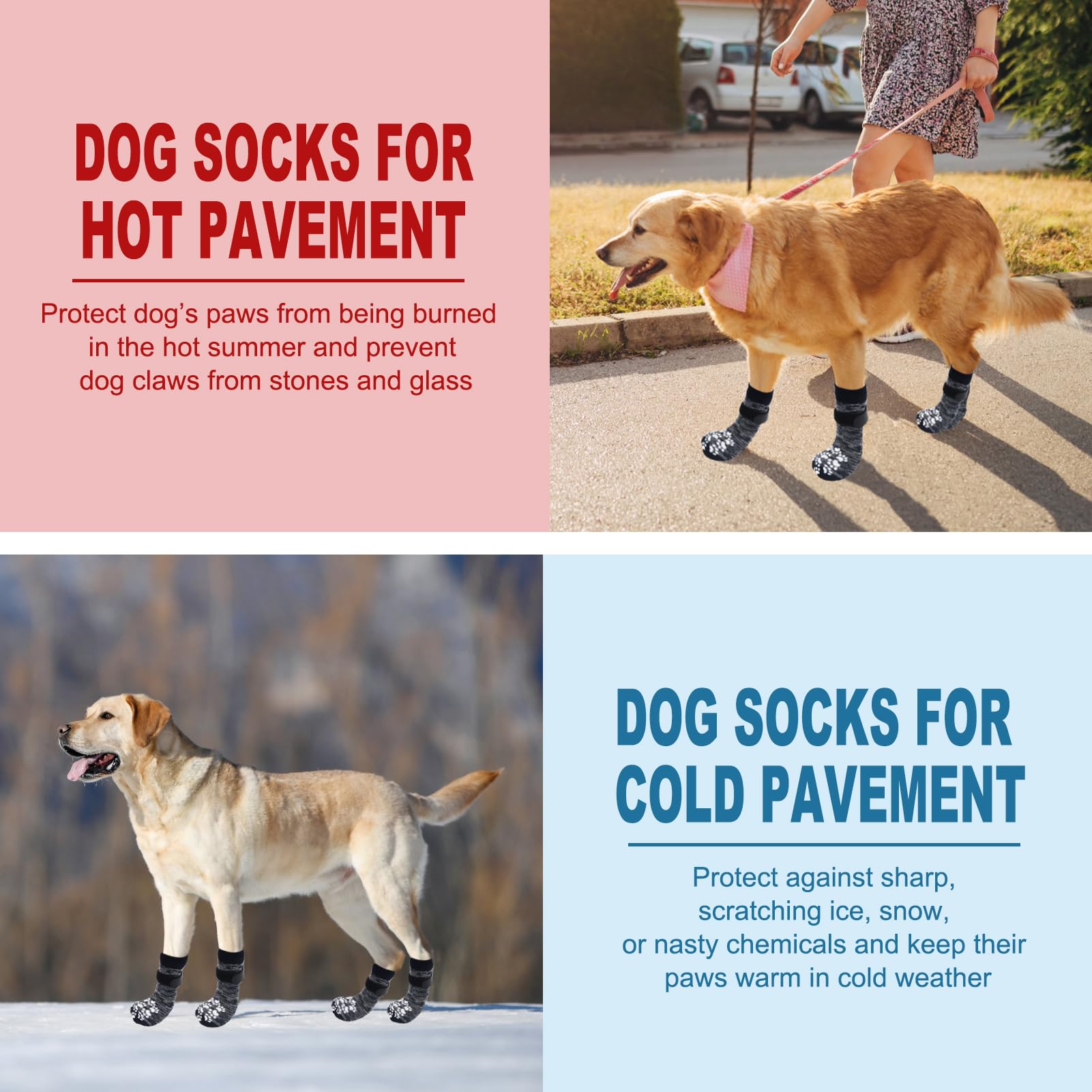EXPAWLORER base antidérapante renforcée protège les pattes sur surfaces variées.