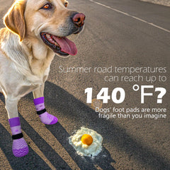 EXPAWLORER calcetines perros protección de patas todo clima