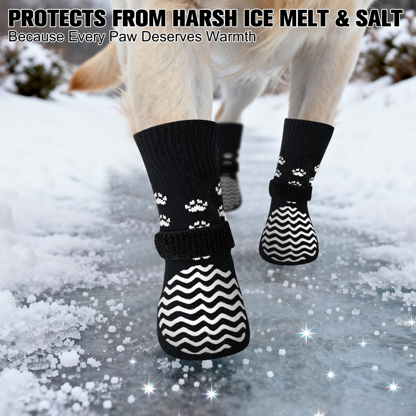 EXPAWLORER protección de patas en suelos duros con agarre estable.
