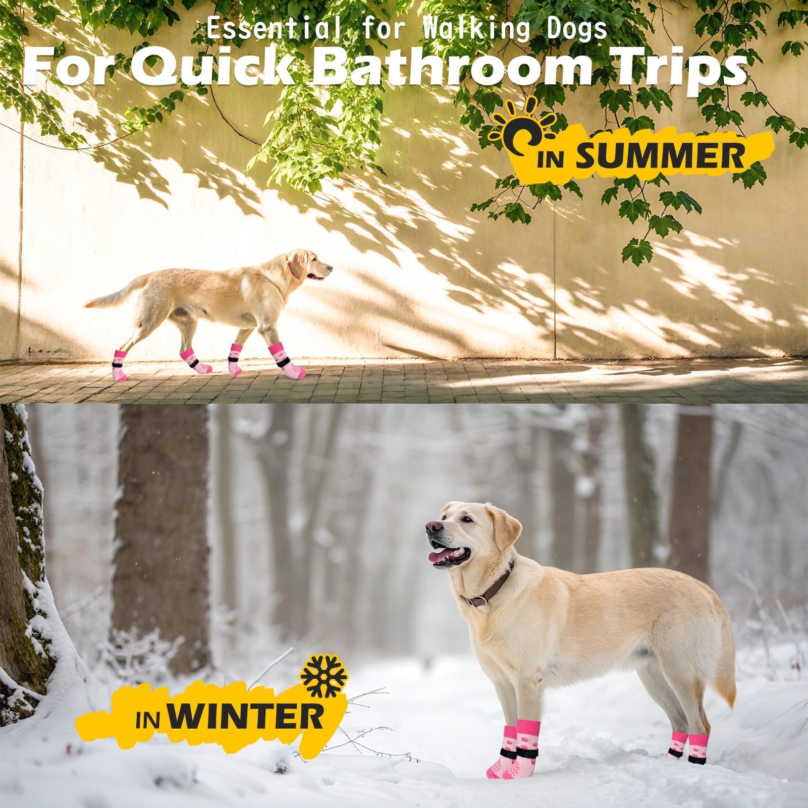 Calcetines EXPAWLORER para interiores y paseos al aire libre