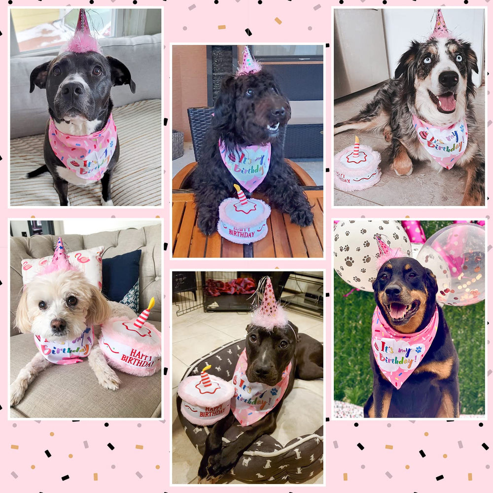 EXPAWLORER conjunto de cumpleaños para perro, outfit completo para la fiesta