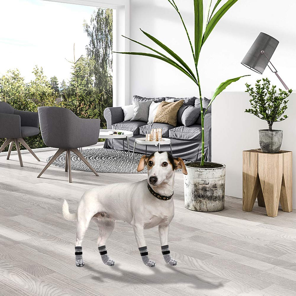 EXPAWLORER garantia-ajuste-perfecto para perros de todas las tallas.
