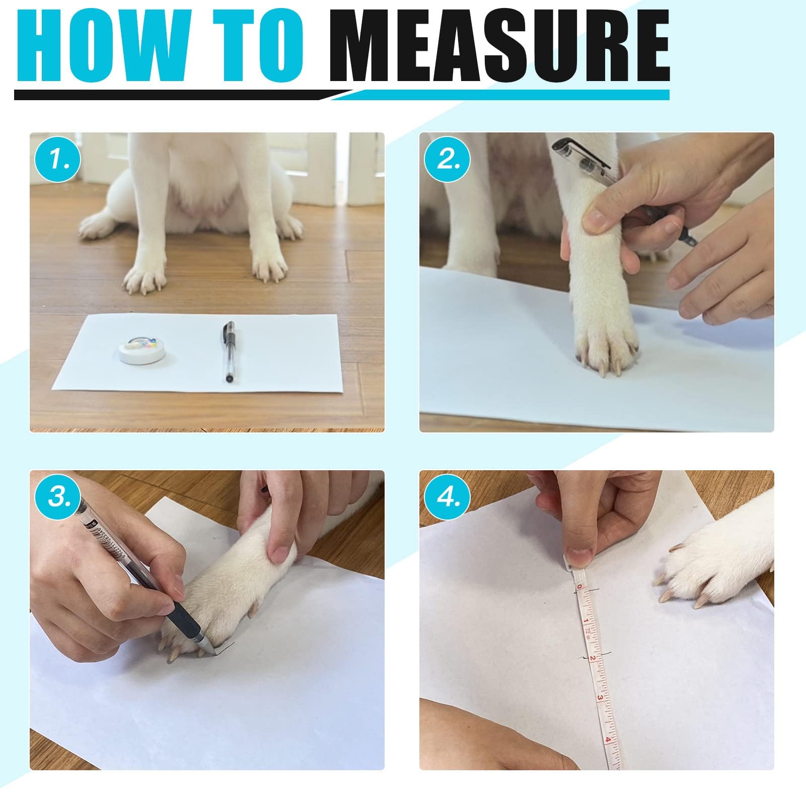 EXPAWLORER paquete de 4 calcetines y correas para tallas flexibles