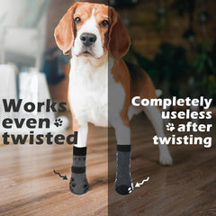 Protección de patas EXPAWLORER para pavimento caliente: barrera suave.