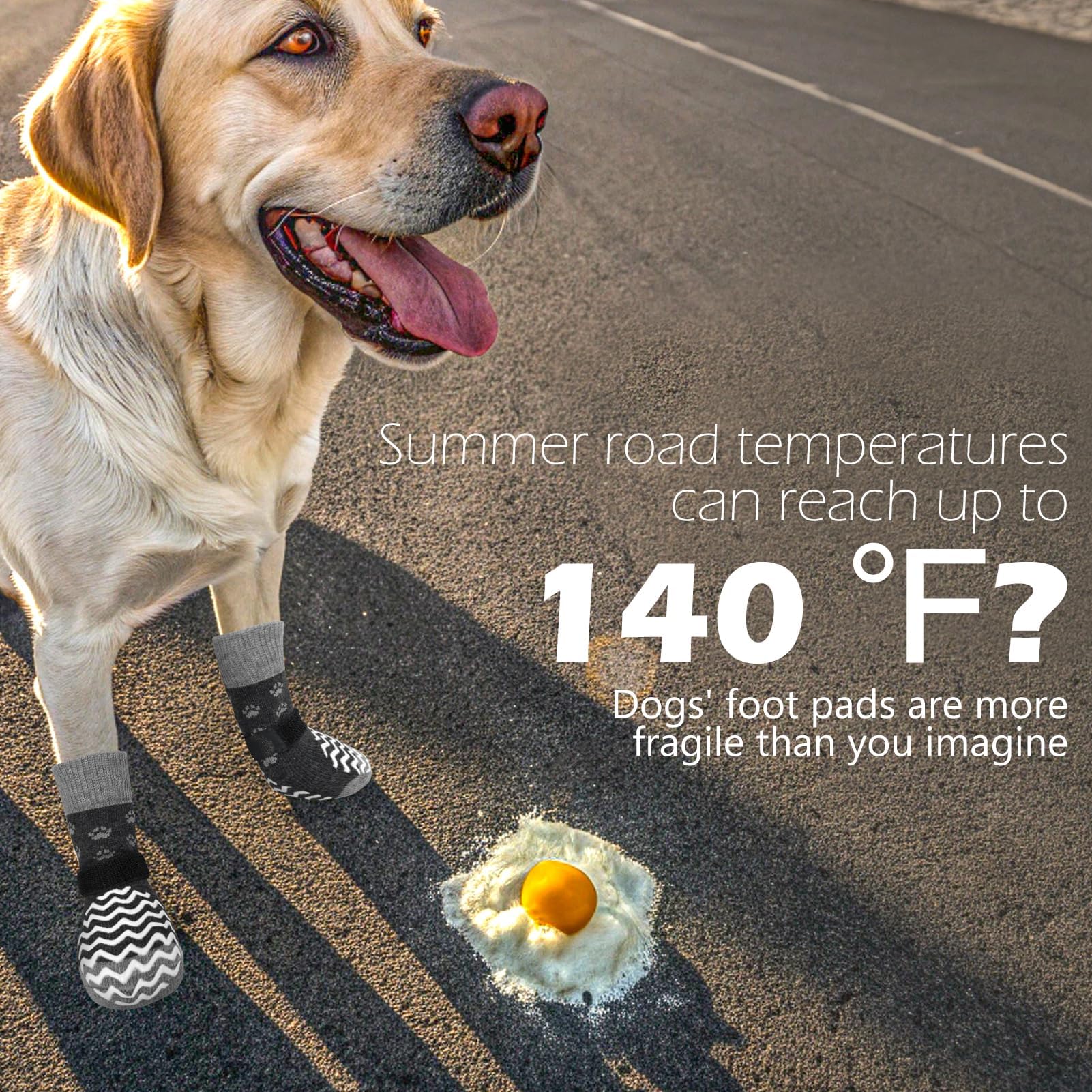 EXPAWLORER protección de patas para perros en superficies frías y duras