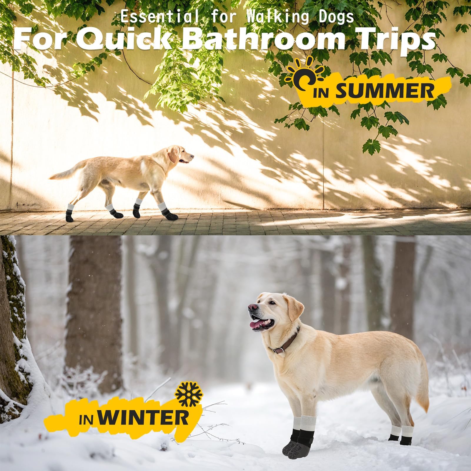 EXPAWLORER ofrece tallas variadas para perros pequeños a grandes.