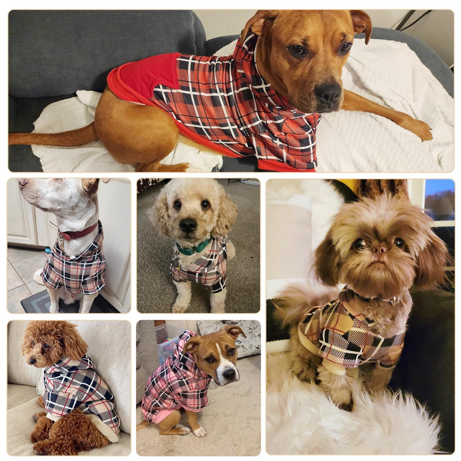 EXPAWLORER tartan casaca perro color beige, versátil