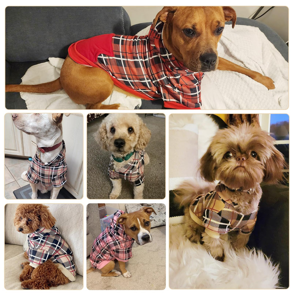 EXPAWLORER tartan casaca perro color beige, versátil