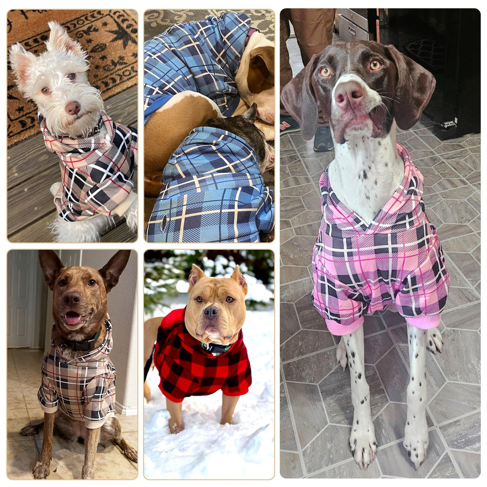 EXPAWLORER tartan casaca perro estilo britanico, look elegante