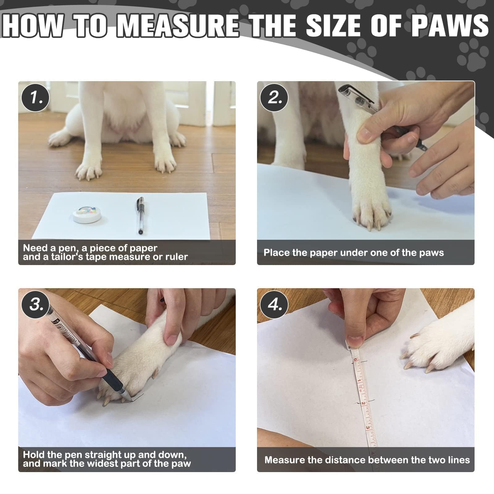 EXPAWLORER variedad de colores de calcetines para combinar con tu mascota