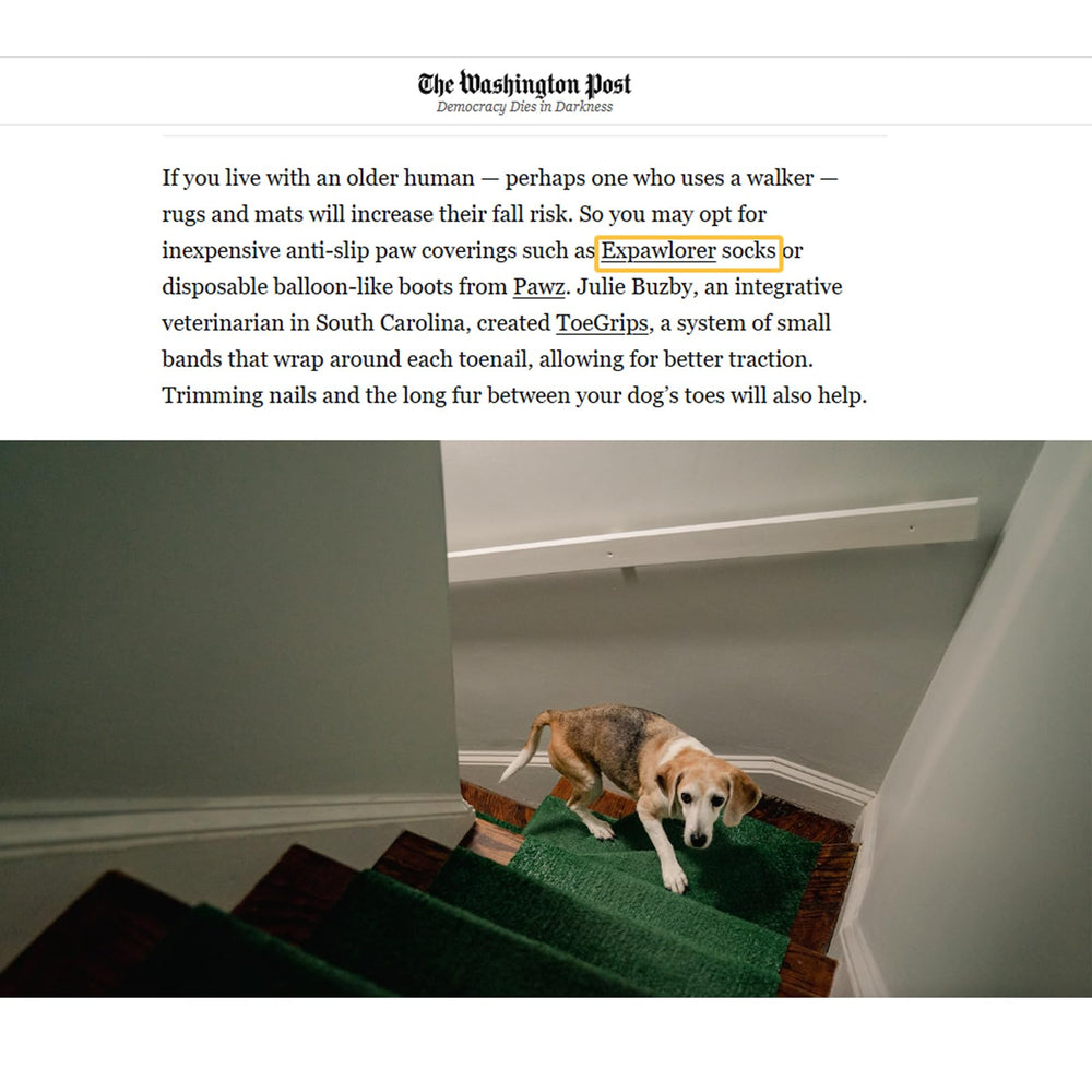 EXPAWLORER calcetines perro antideslizantes uso en casa, apoyo en resbalones.