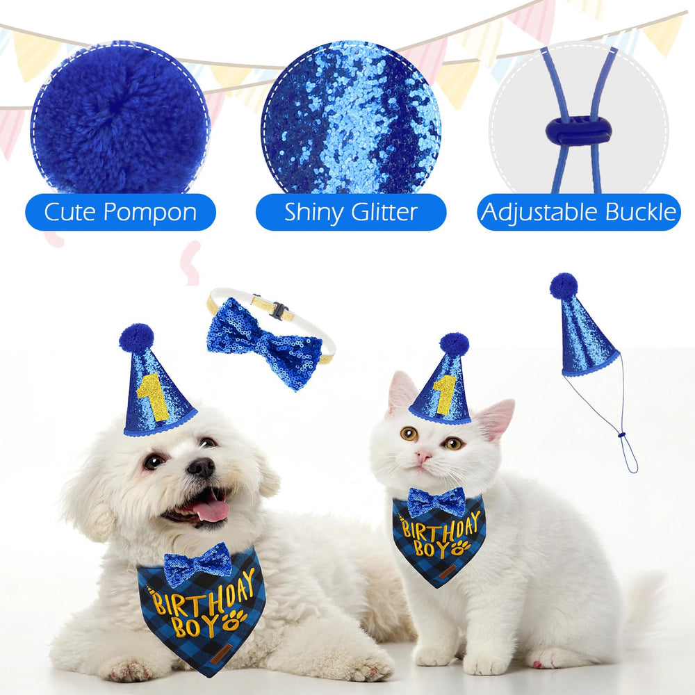EXPAWLORER look de cumpleaños para sesiones en familia.