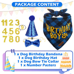 EXPAWLORER sombrero cumpleaños perro, diseño azul para celebraciones.