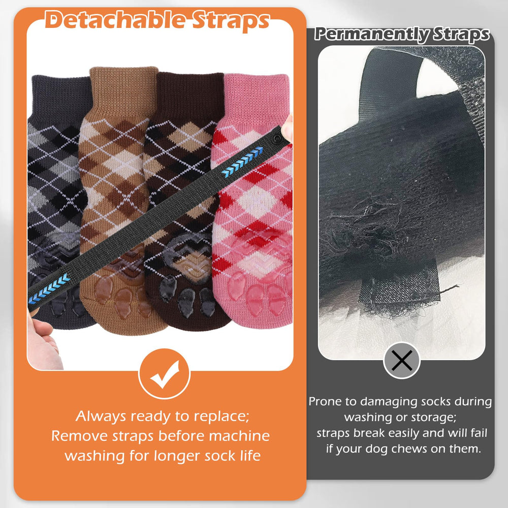 EXPAWLORER talla M para patitas medianas de perros
