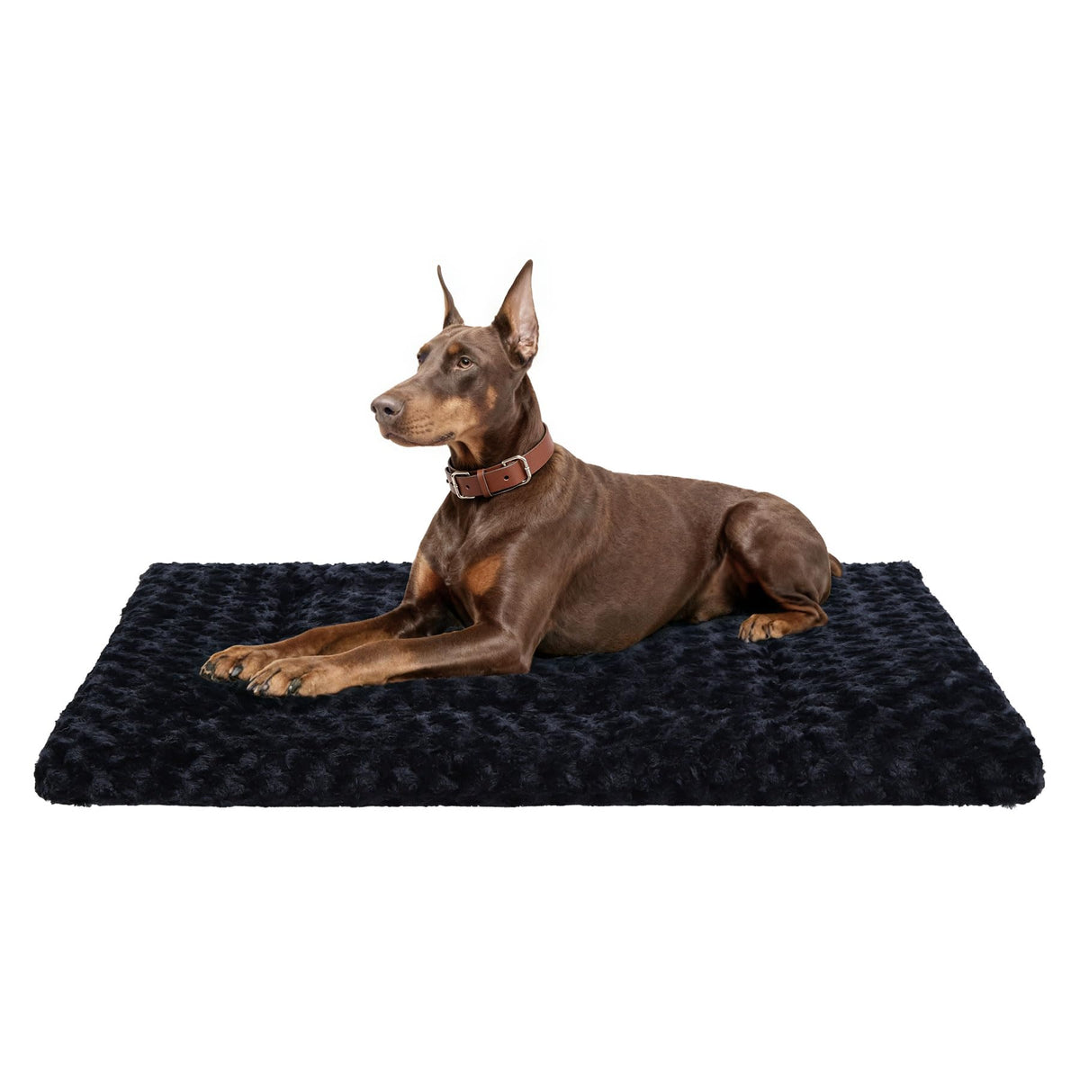 Cama Exsnugy lavable para perros, limpieza rápida y comodidad duradera.