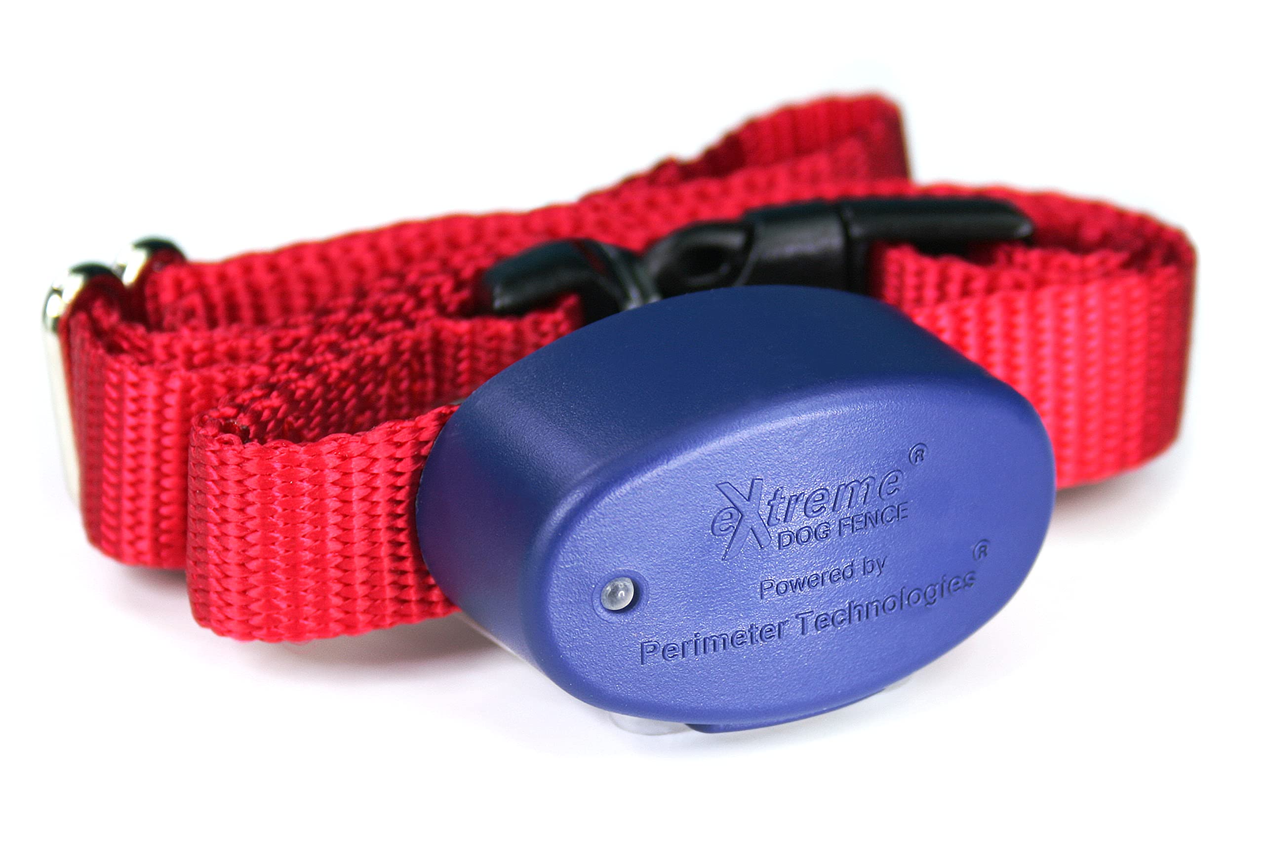 Extreme Dog Fence collar activo en perro para delimitar área de juego