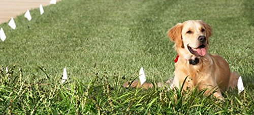 Extreme Dog Fence recubrimiento HMW polietileno protege contra UV y agua.