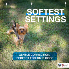 Extreme Timid Dog Fence: cable de 500 ft para patios pequeños.