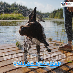 Extreme Dog Fence: sondas con cubiertas de confort para mayor suavidad