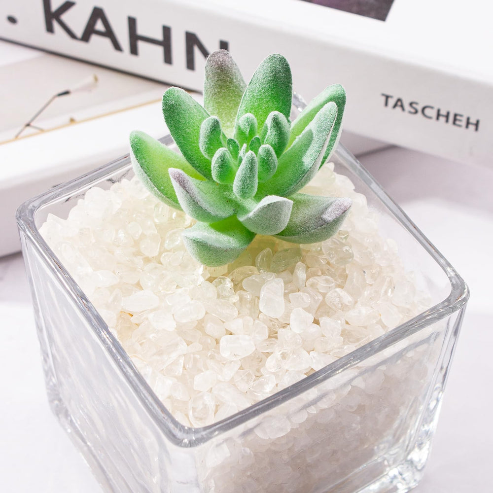 Piedras transparentes EZEELAI para plantas en macetas, estética sutil.