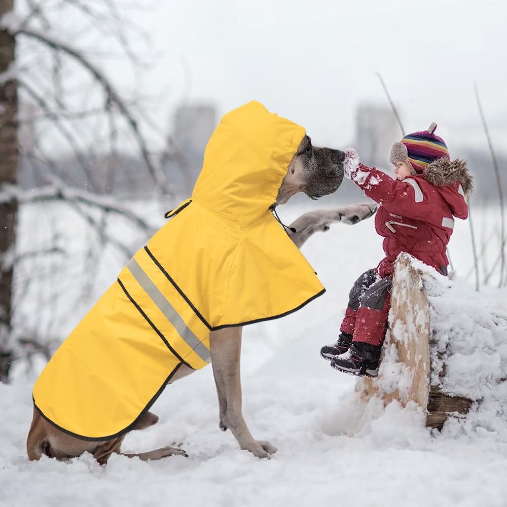Ezierfy capucha ajustable protege la cabeza del perro en lluvia.