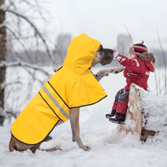 Ezierfy capucha ajustable protege la cabeza del perro en lluvia.