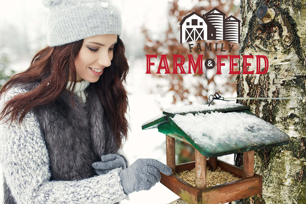FAMILY FARM AND FEED: semilla-girasol-negro-jarra-alimentacion, facilita la alimentación diaria de aves.