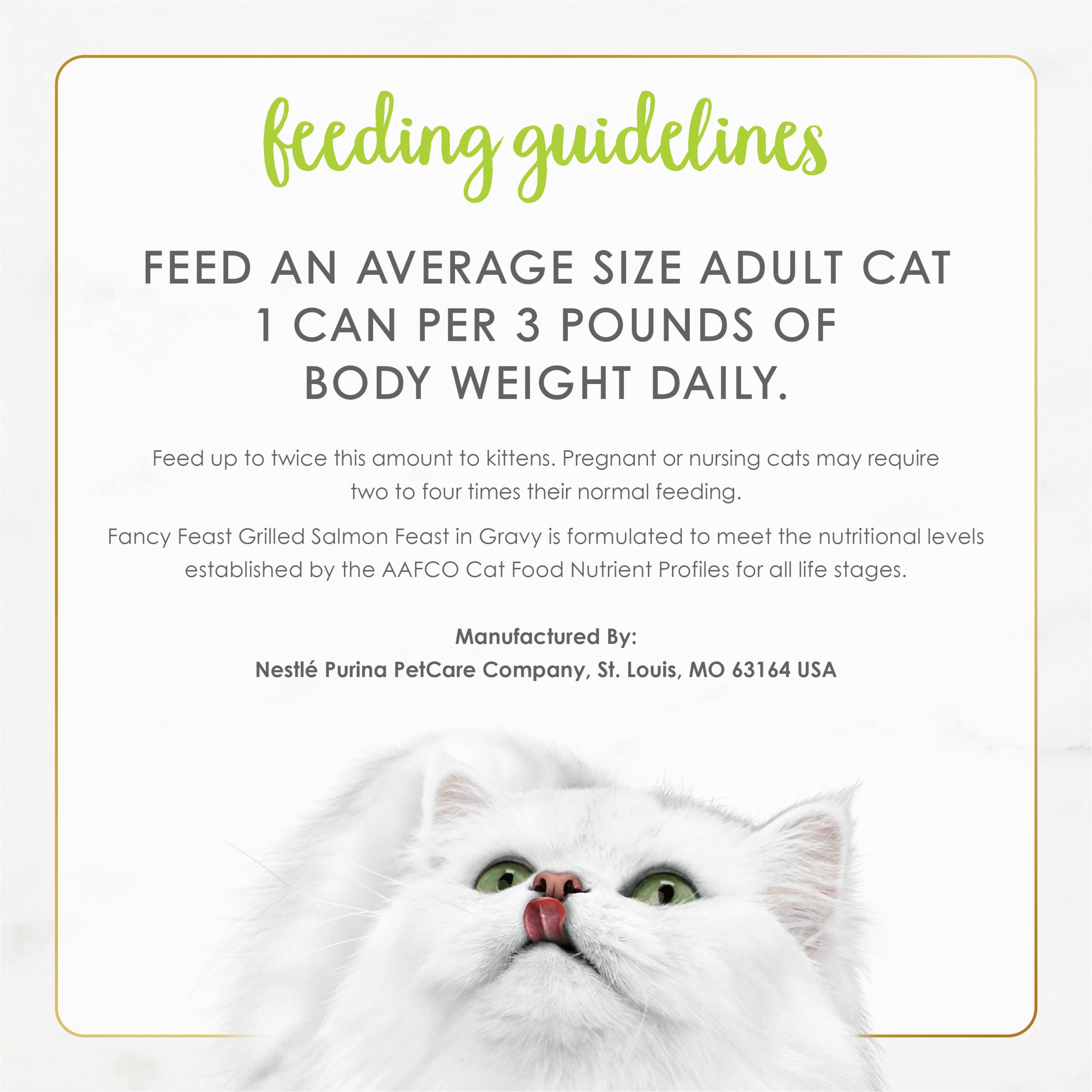 Envase reciclable de Fancy Feast, opción ecológica para la alimentación húmeda.