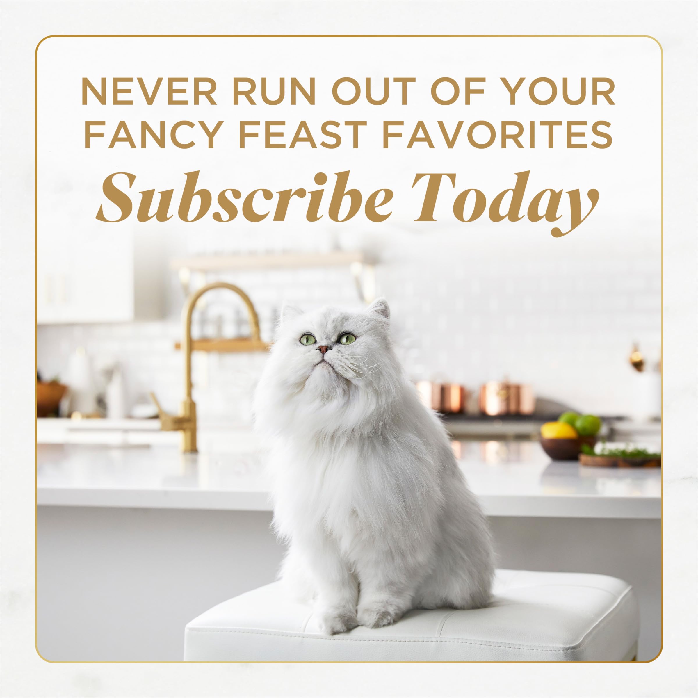 Bocados perfectos para la cena de gato, fáciles de servir.