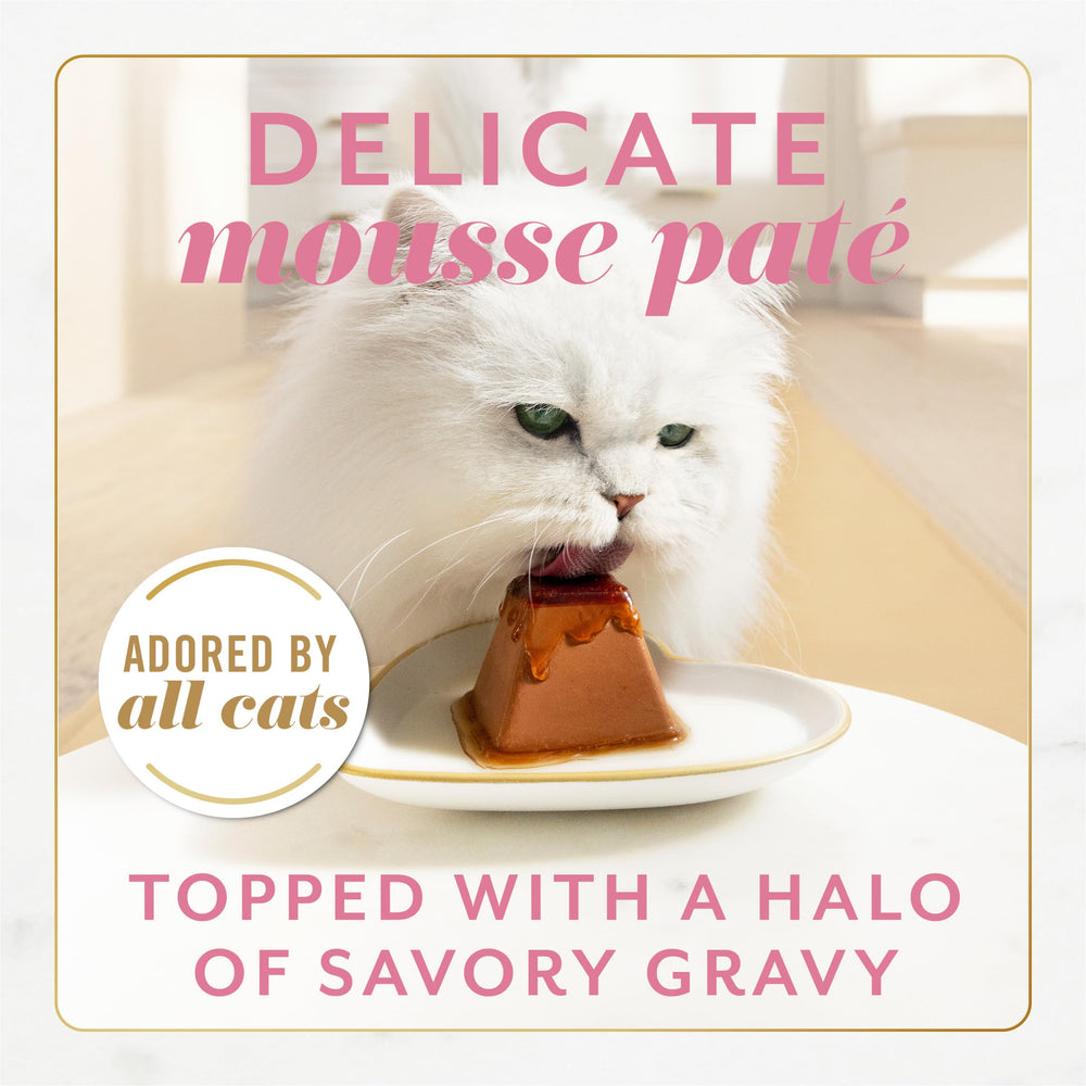 Gems Mousse de salmón en forma piramidal, textura suave para gatos exigentes.