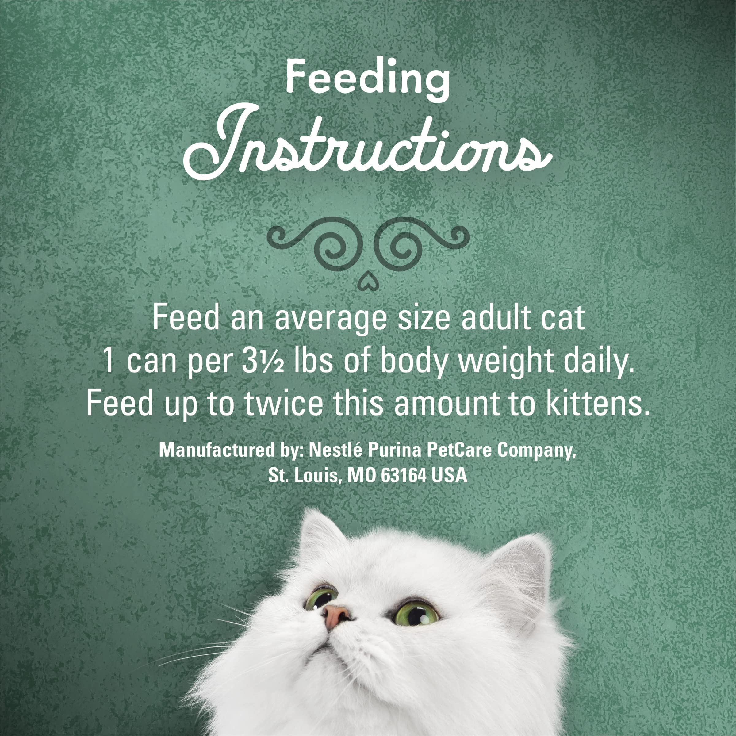 Gato comiendo Fancy Feast Medleys, muestra la experiencia de sabor.