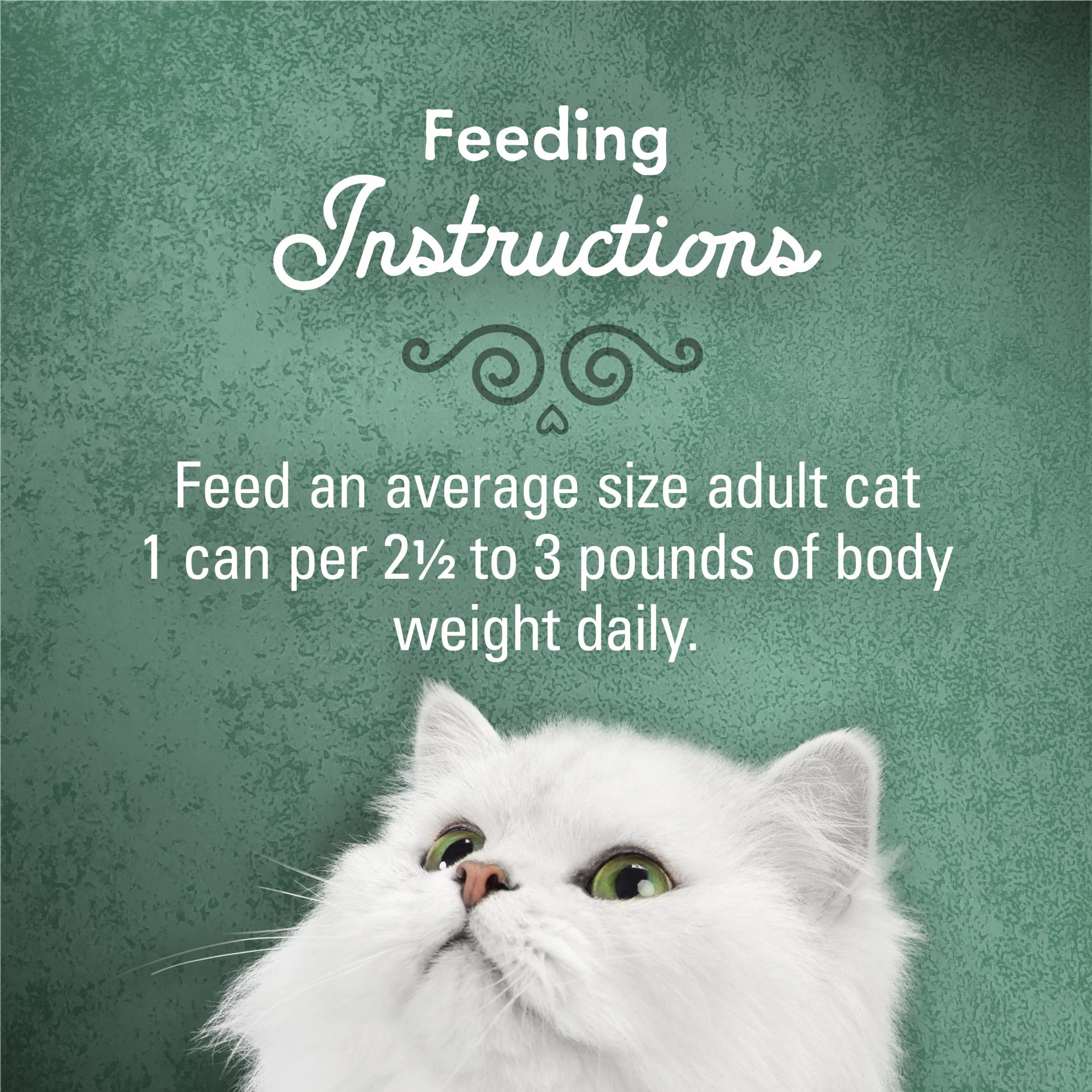 Fancy Feast Medleys gravy-sabroso en lata, salsa jugosa para gatos.