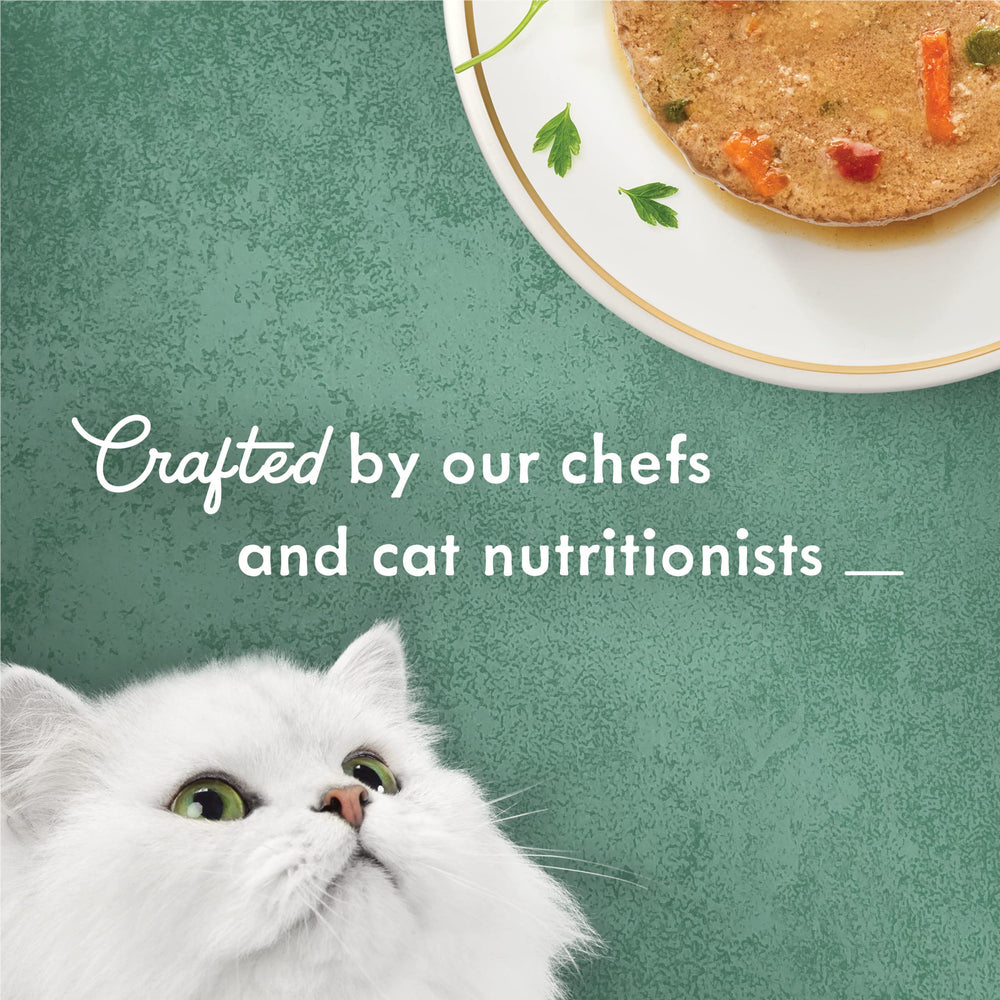 Purina Fancy Feast Medleys Pate Gato Disfrutando su cena gourmet.