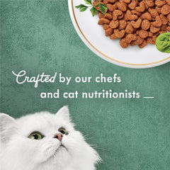 Fancy Feast Medleys Primavera con acento zanahoria, textura atractiva para variedad diaria.
