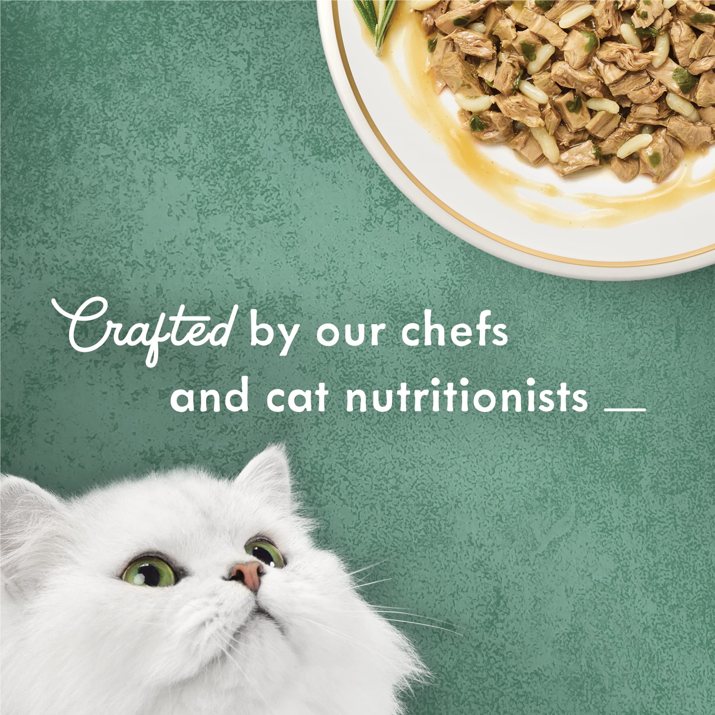 Purina Fancy Feast Medleys verduras de jardín, comida balanceada para gatos.