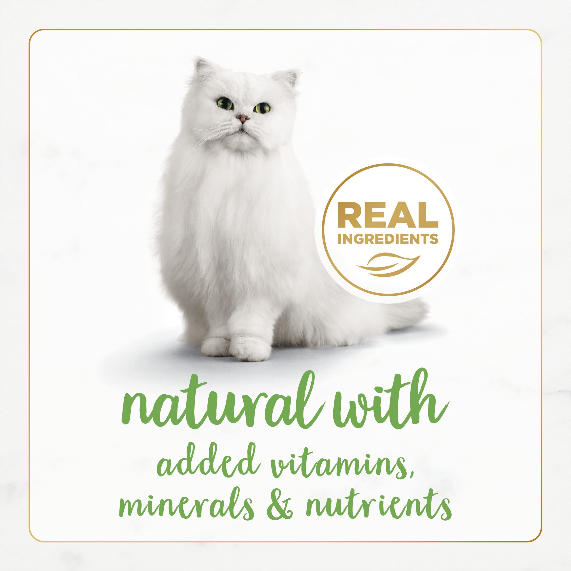 Lata abierta de Fancy Feast Naturals Pate, presentación práctica para raciones diarias.