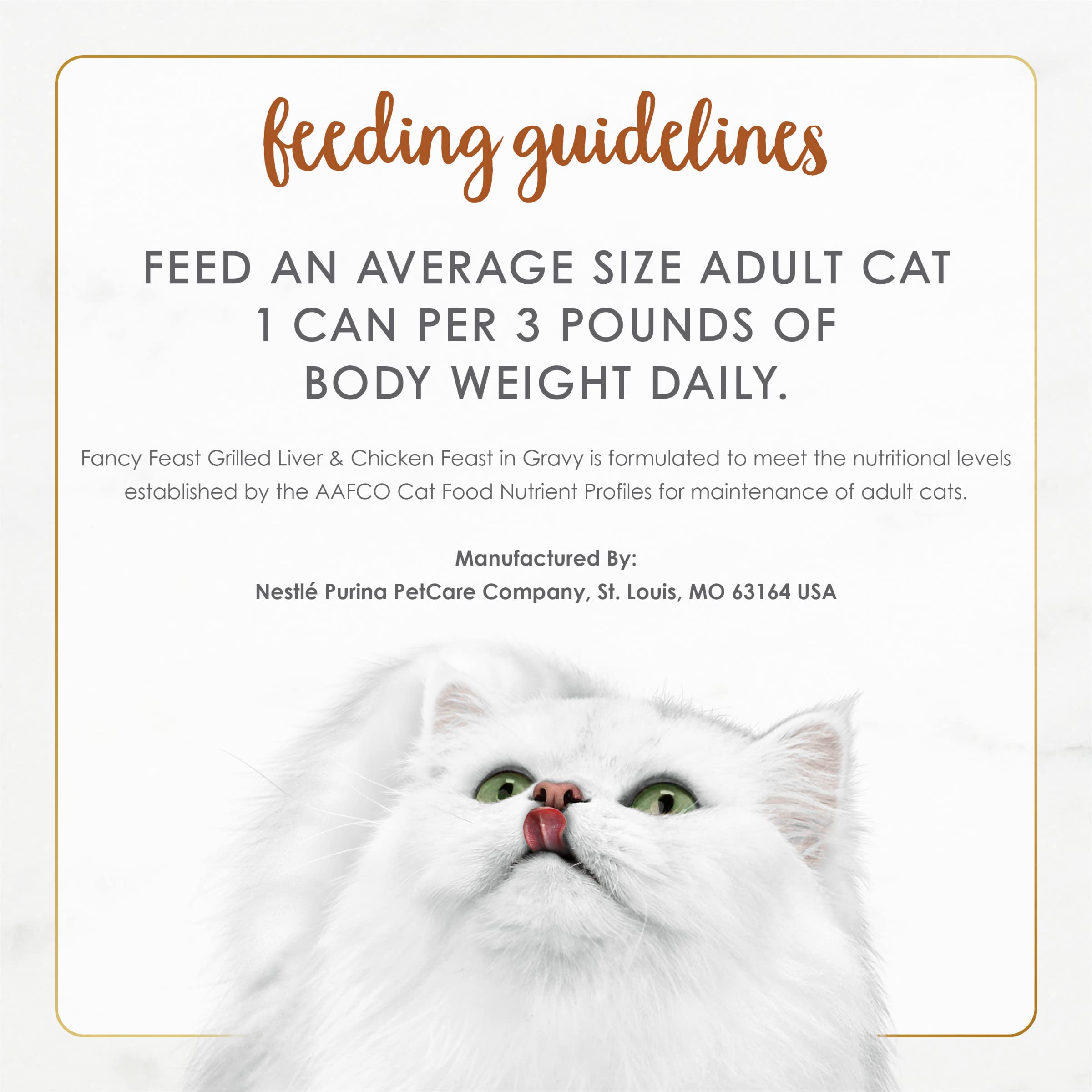 Fancy Feast plato-gato-alegre: el gato se acerca al plato con entusiasmo.