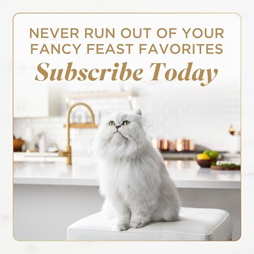 Fancy Feast recompensa gourmet para el gato